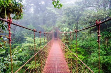 Costa Rica, Regenwald