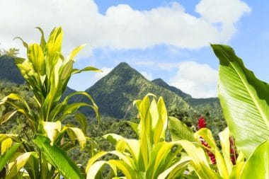 Montagne Pelée, Martinique, Lesser Antilles