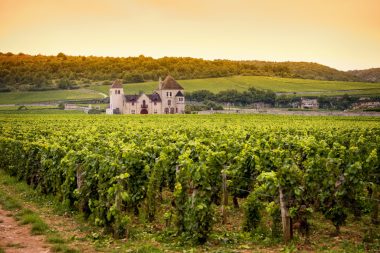Burgundy-Franche-Comté