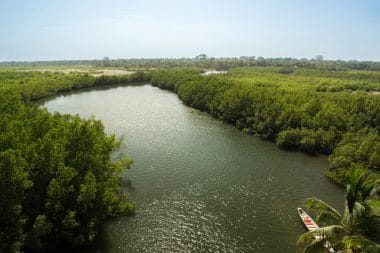 Fluss Gambia 