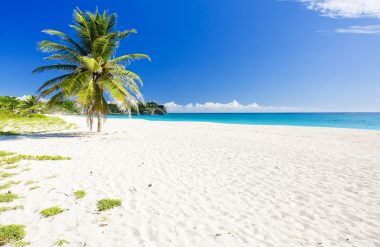Foul Bay Beach, Barbados, Lesser Antilles