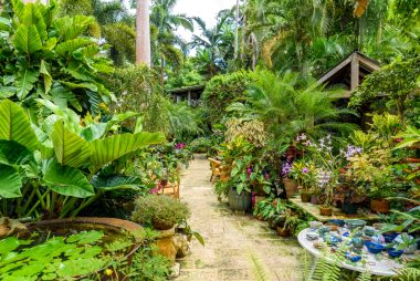 Huntes Garden auf Barbados