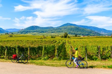 Cycling Alsace