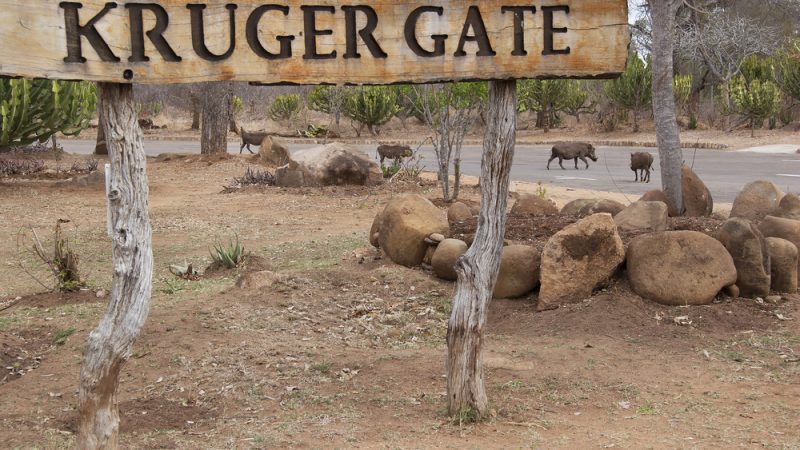 Kruger Nationalpark Südafrika