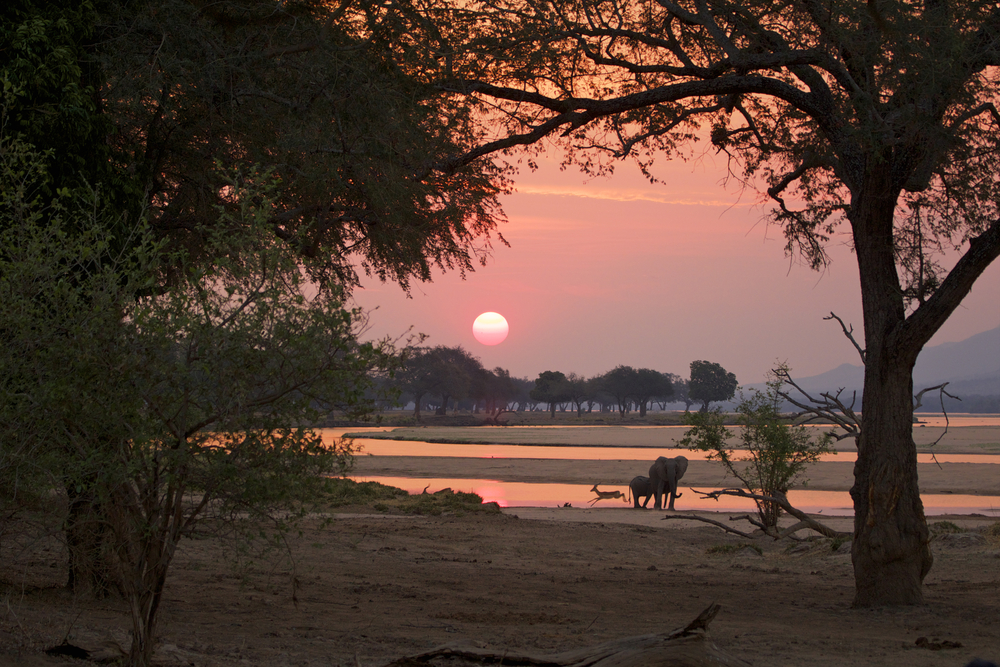 Mana Pools Nationalpark in Simbabwe