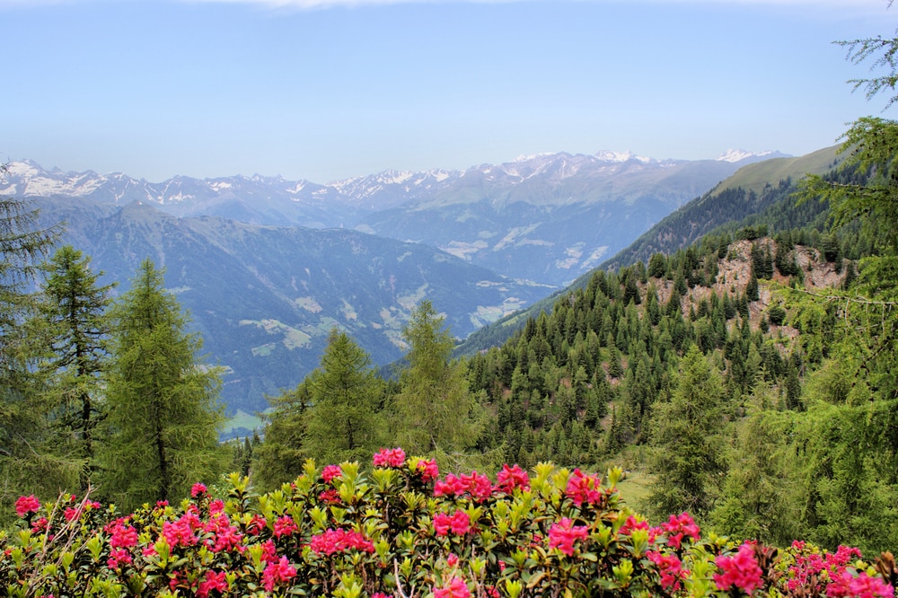 Passeiertal in Südtirol