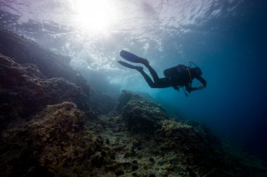 Unterwasserwelt in Kroatien